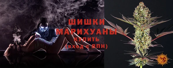 сатива Арсеньев